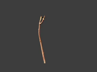Free PBR Stick twig dead broken Scan Free low-poly 3D model