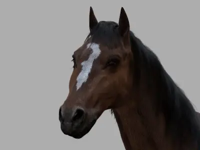  Brown Horse (Rigged) (Fur) 