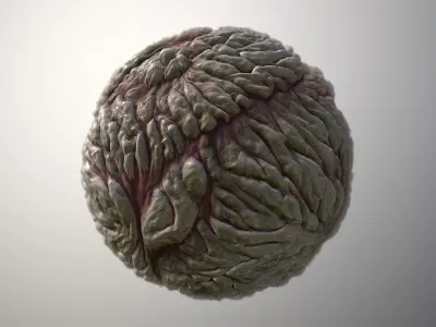 Material Skin Monster 22 Seamless PBR Texture Texture