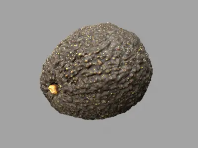 Avocado - Photorealistic Scan  Low-poly 3D model