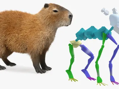 Capybara Fur Rigged 