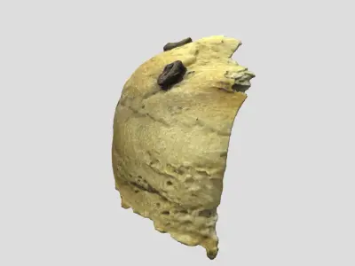 Olive bread slice 3D model