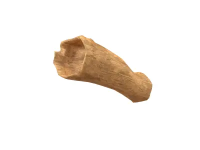 Fallen Tree Trunk v1 003 Low-poly 3D model