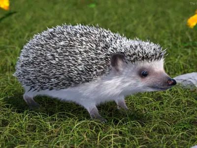  White Hedgehog Fur for Maya 