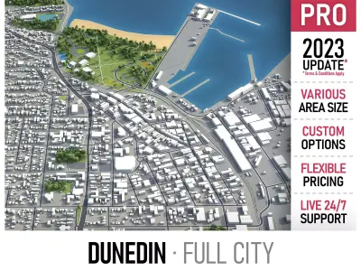 Dunedin  Low-poly 3D model