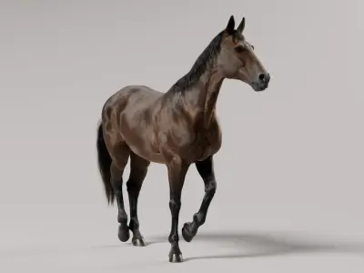  Horse Brown 