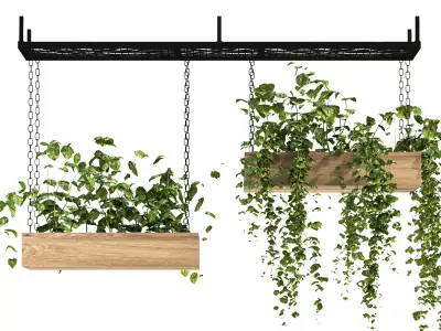 Hanging Plant 03 3D model