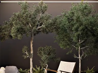 Open roof lounge with mountain cabbage plants 3D model
