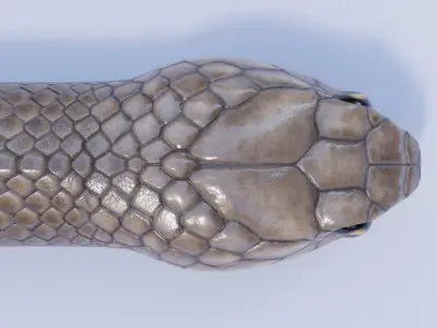  Animated Eastern Brown Snake 