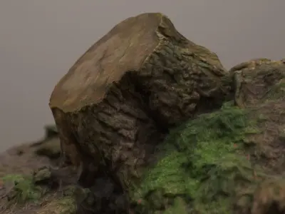 Fallen Tree Trunk Low-poly 3D model