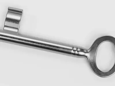 New Key V1 - Universal Hollow Barrel Skeleton Key 3D model