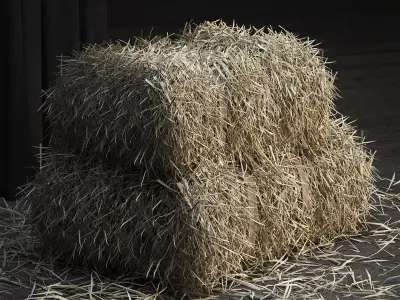 Straw bale GEOMETRY   SCATTER 3D model