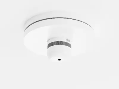 Storm Medium Short and Smoke detector Low-poly 3D model