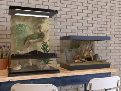 Reptiles terrarium Decoration  Low-poly 3D model