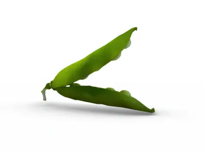 open peapod 3D model