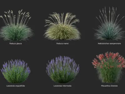 XfrogPlants HDPlants 3 3D model