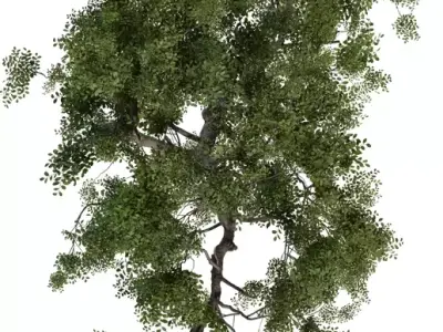 Realistic High-Poly Tree Model Low-poly 3D model
