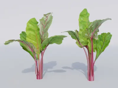 Vegetable patch Low-poly 3D model