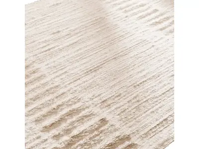 Salar Wool Rug 3D model