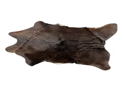 Animal skin rug 16 3D model