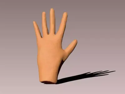Cartoon Hand model Low-poly 3D model