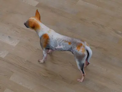 Mixed-breed dog Low-poly 3D model