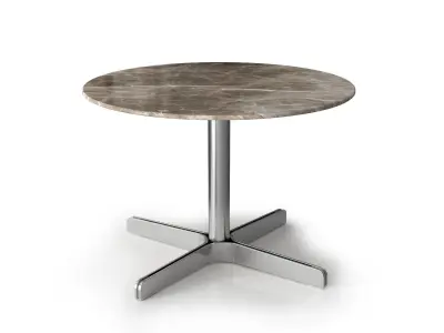 DS 343 61 and DS 343 62 Coffee Tables 3D model