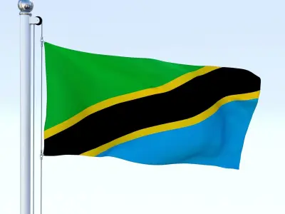 Animated Tanzania Flag Low-poly 3D model