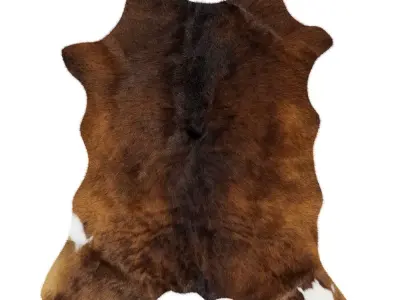 Animal skin rug 14 3D model