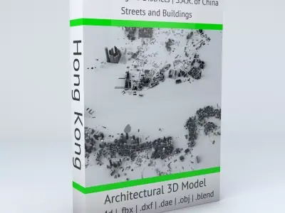 Hong Kong 18 Districts Streets and Buildings 3D model