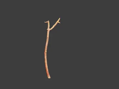 Free PBR Stick twig dead broken Scan Free low-poly 3D model