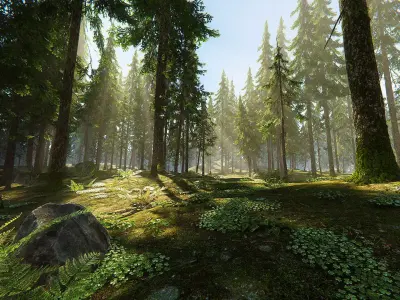 Hazy Hills - Conifer Forest Low-poly 3D model