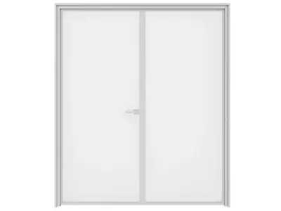 Double Glass Door 3D model