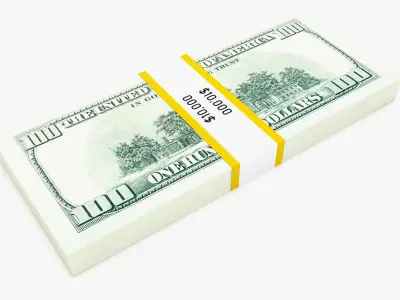 Bank Collection - 100 Dollar Bill Pack 3D model