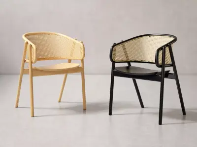Cane Armchair 3D model