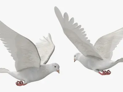  Lowpoly White Dove in Flight 