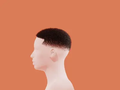 Fade Hair 3D model