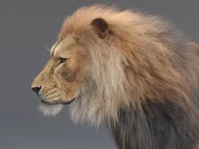 Lion Rigged (Fur) 