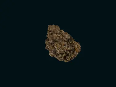 Marijuana Flower-Purple Punch 3D model