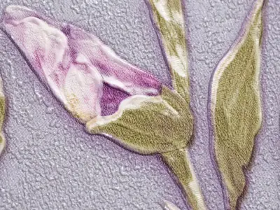 Lilac Garden Wallpaper Texture Texture