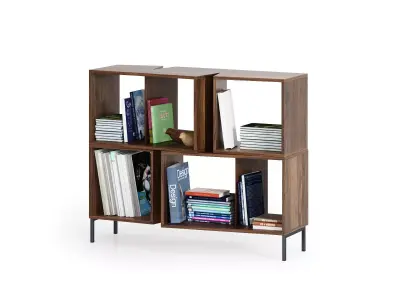 Cuts Bookshelf Composition 1 3D model