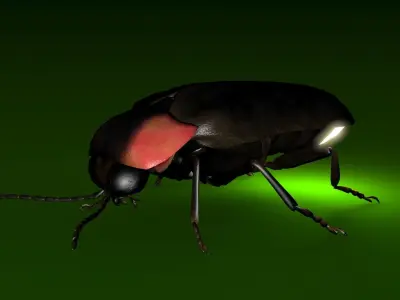 Firefly beetle flying Low-poly 3D model