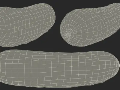  Vegetables Collection 