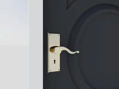 Black Carved Door Free 3D model