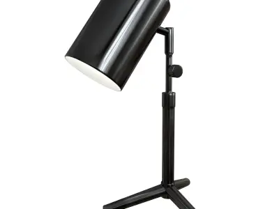 study light 3 3D model