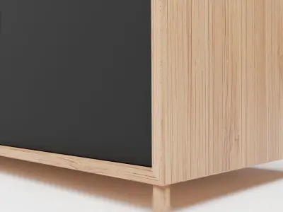 wooden cabinet and black door 3D model