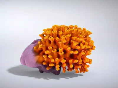 Golden Yellow Sun Coral Model Low-poly 3D model