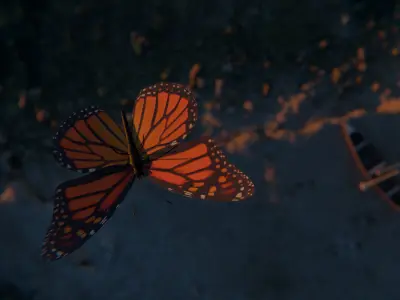 Sea Shore Low-poly 3D model