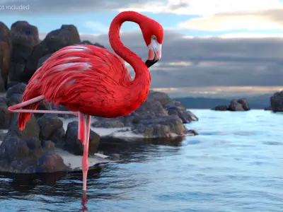  Standing Flamingo Bird on One Leg Red 