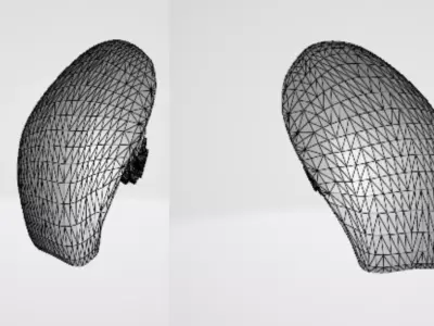 STANDARD SHEEN 3D model